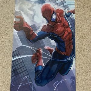 Spider Man Poster. Posters are 2 for 10!!